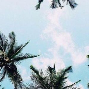 Meet your Posher, Jami